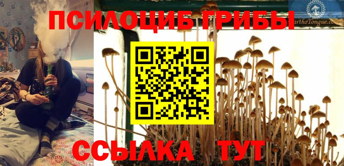Псилоцибиновые грибы Psilocybe  Вход с VPN  Ессентуки  Псилоцибиновые грибы мухоморы 